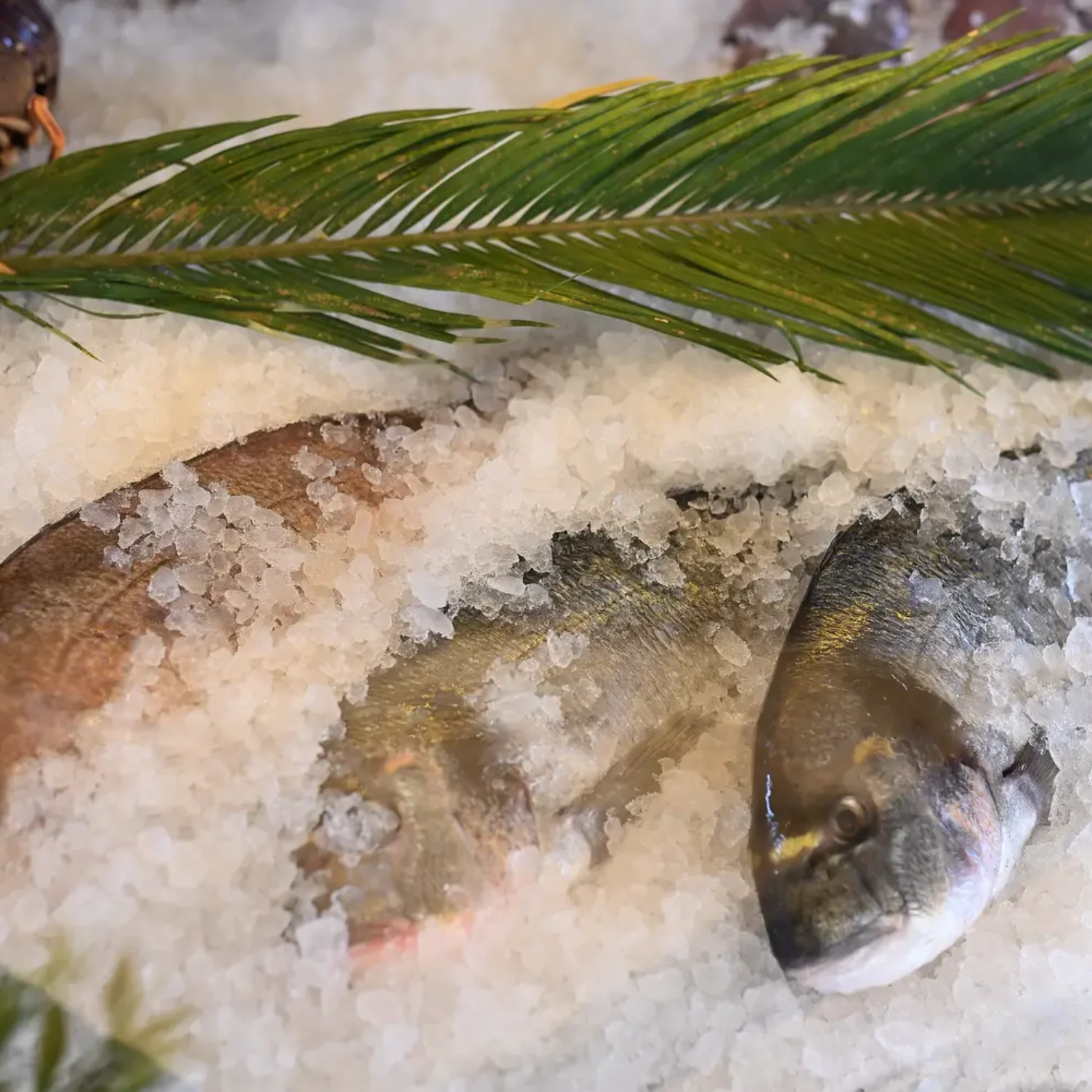 Askeli Restaurant | Image 17